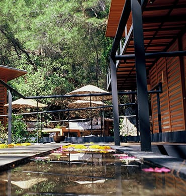 SPA 11