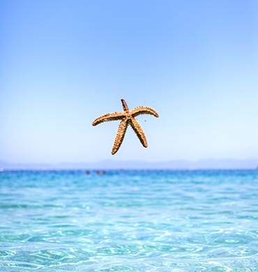 Plajlar 6